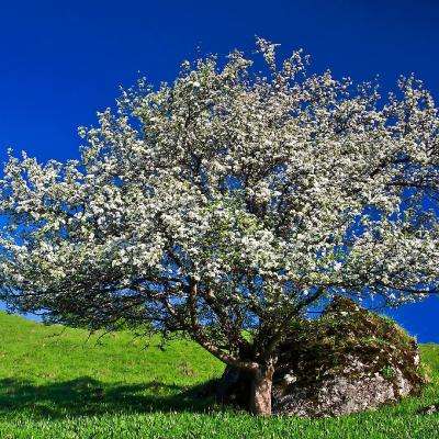 澳门mgm娱乐官网手机app下载